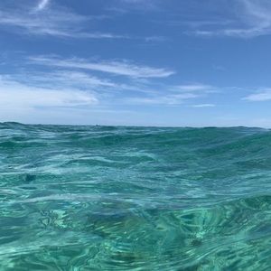 Meet your Posher, Oleg